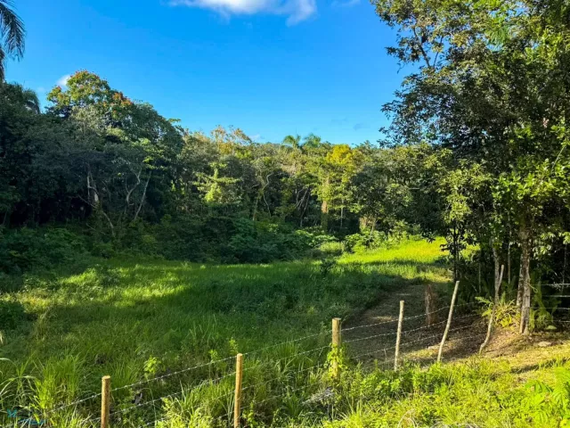 Barrio Cibao venta en Camuy, PR