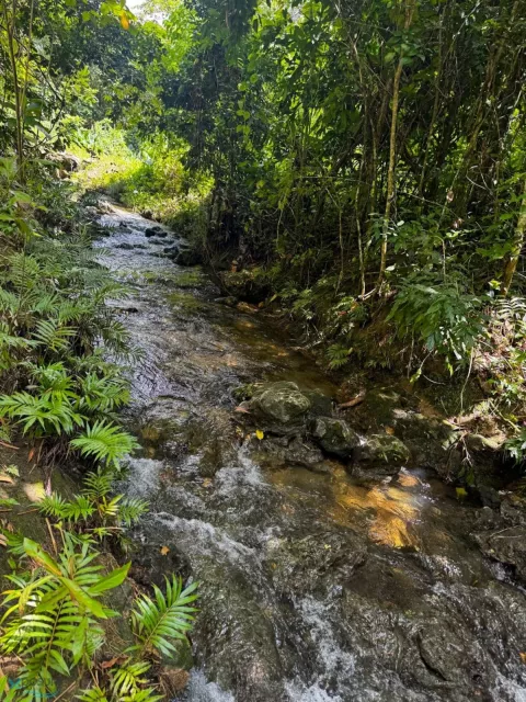 Barrio Cibao venta en Camuy, PR