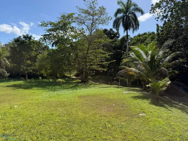 Barrio Cruces alquiler en Aguada, PR