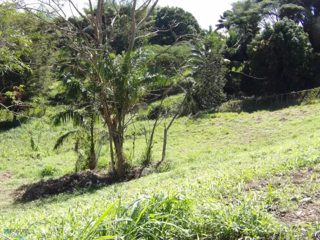 Barrio Pozas venta en San Sebastian, PR