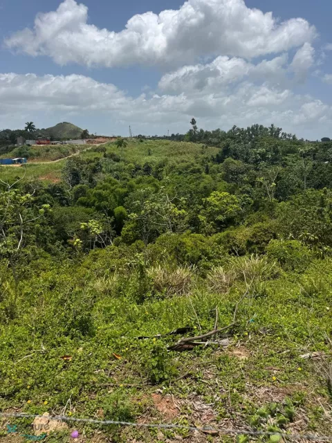 Barrio Plata venta en Moca, PR