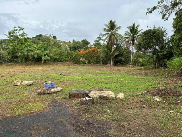 Barrio Camarones venta en Guaynabo, PR