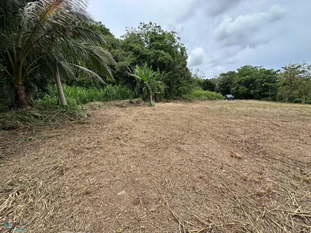Barrio Camarones venta en Guaynabo, PR