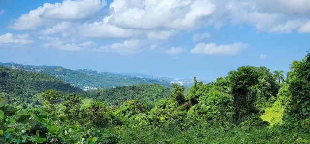 Barrio Cienaga Alta venta en Rio Grande, PR
