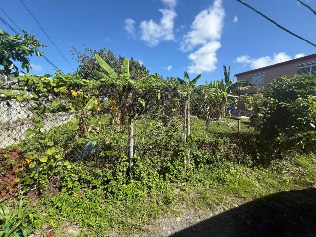 Barrio San Isidro venta en Canovanas, PR