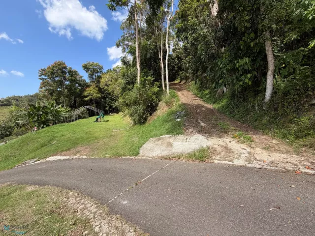 Barrio Rocha venta en Moca, PR