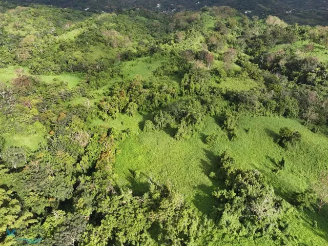 Barrio Jagual venta en San Lorenzo, PR