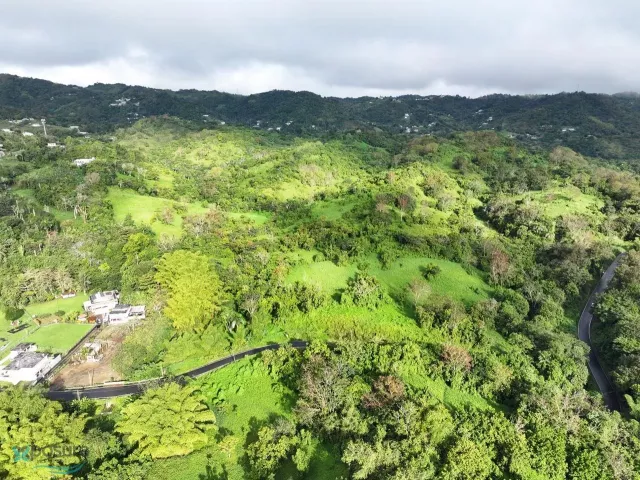Barrio Jagual venta en San Lorenzo, PR