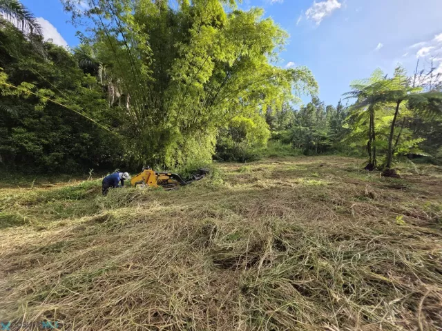 Barrio Bayamon venta en Cidra, PR