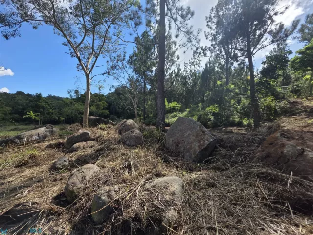 Barrio Bayamon venta en Cidra, PR