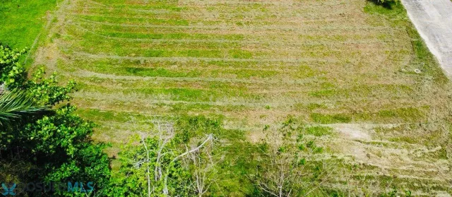 Barrio Guayabo venta en Aguada, PR