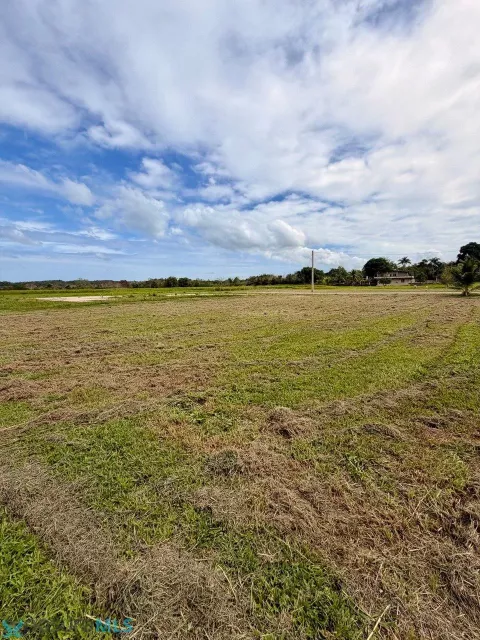 Barrio Guayabo venta en Aguada, PR