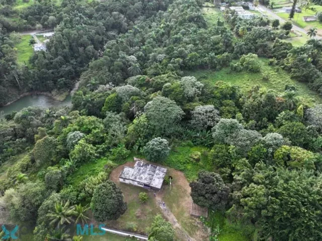 Barrio Ainito Beltran venta en San Sebastian, PR