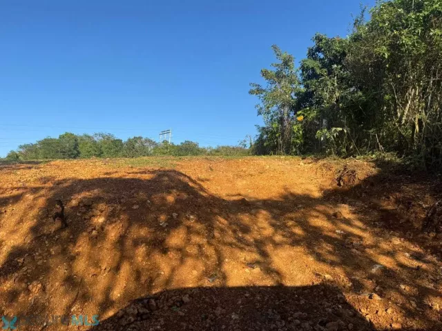 Barrio Arenalejos venta en Arecibo, PR