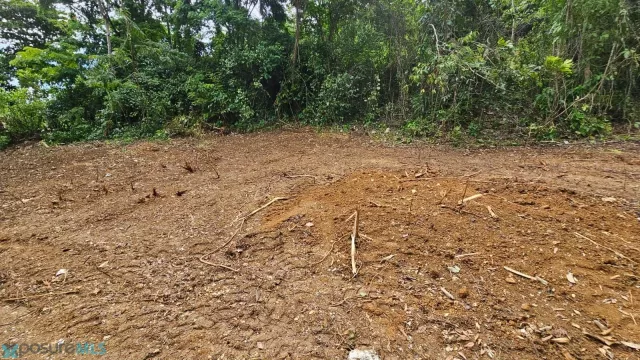 Barrio Arenales Bajos venta en Isabela, PR