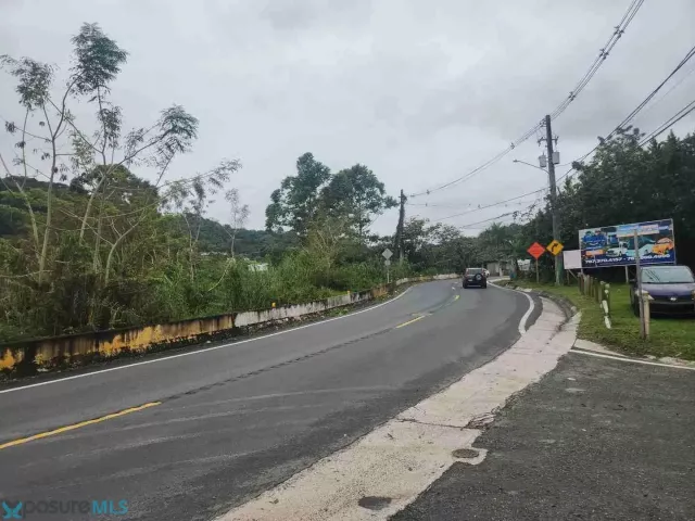 Barrio Cedro Abajo venta en Naranjito, PR