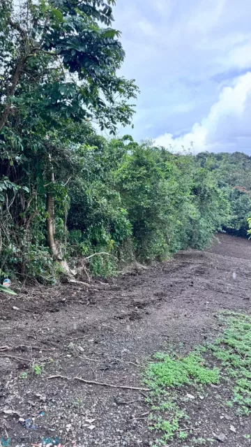 Barrio Santa Cruz venta en Carolina, PR