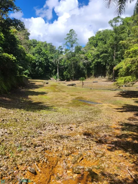 Barrio Fronton venta en Ciales, PR