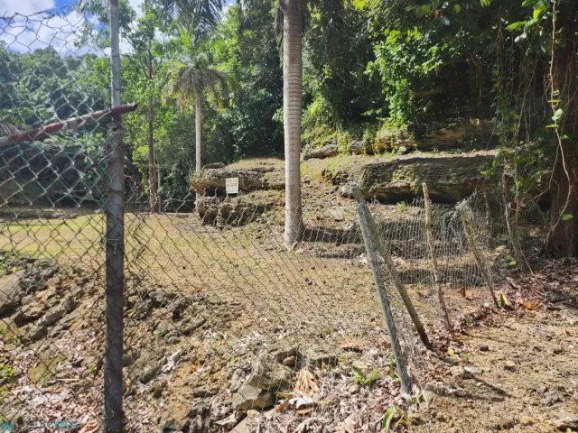 Barrio Fronton venta en Ciales, PR