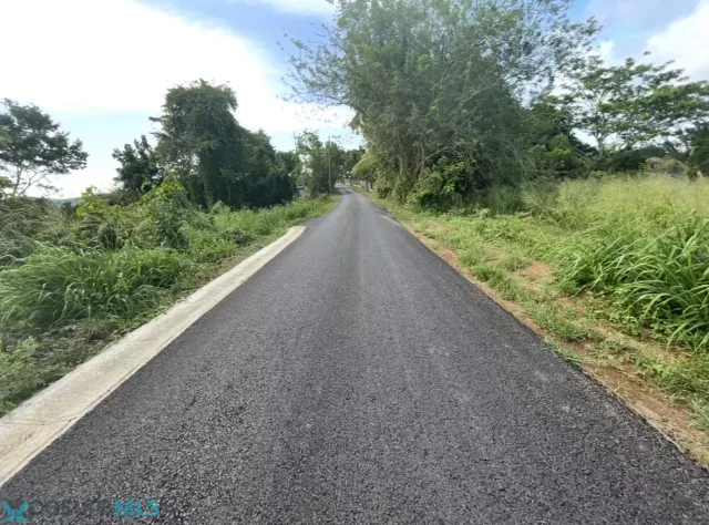 Barrio Palmarejo venta en Corozal, PR