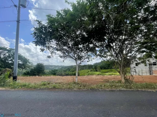 Barrio Palmarejo venta en Corozal, PR
