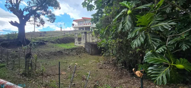 Sector Los Ayala en Hormigueros, PR