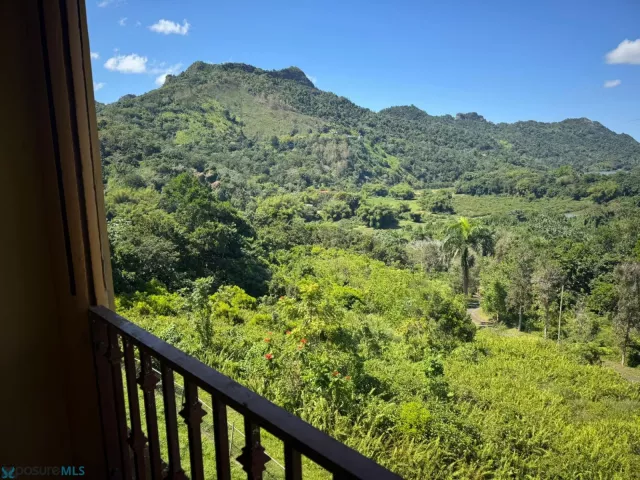 Barrio Caniaco venta en Utuado, PR