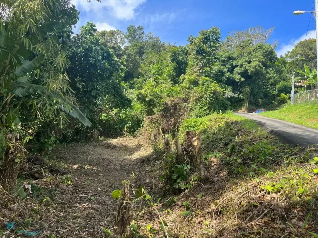 Barrio Naranjo en Comerio, PR