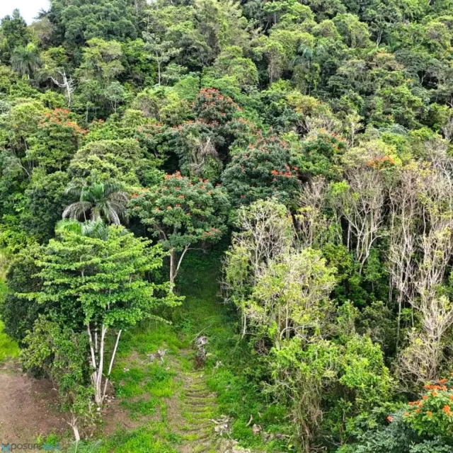 Barrio Rio Arriba Poniente venta en Manati, PR