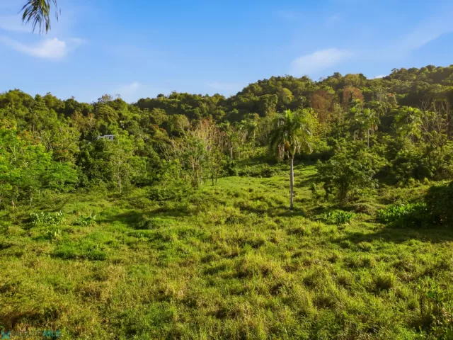 Barrio Quebrada Grande venta en Trujillo Alto, PR