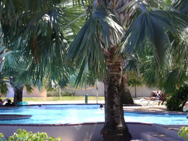 Condo Ocean Point alquiler en Loiza, PR