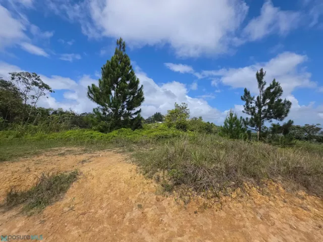 Barrio Juan Asencio venta en Aguas Buenas, PR
