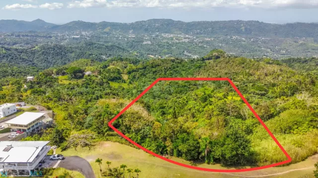 Barrio Caguitas venta en Aguas Buenas, PR