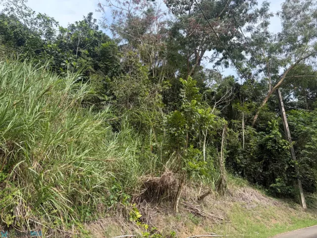 Barrio Buena Vista venta en Bayamon, PR