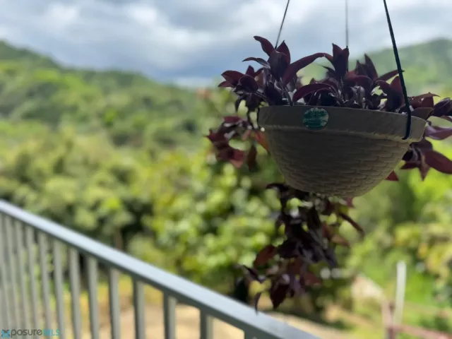 Barrio Rio Abajo venta en Utuado, PR