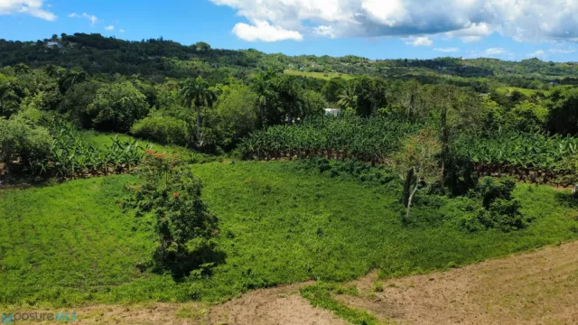 Barrio Robles venta en San Sebastian, PR