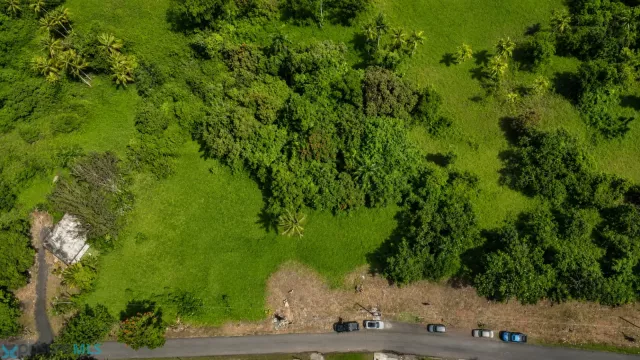 Barrio Zarzal venta en Rio Grande, PR
