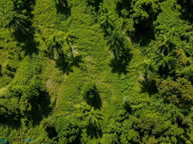 Barrio Zarzal venta en Rio Grande, PR