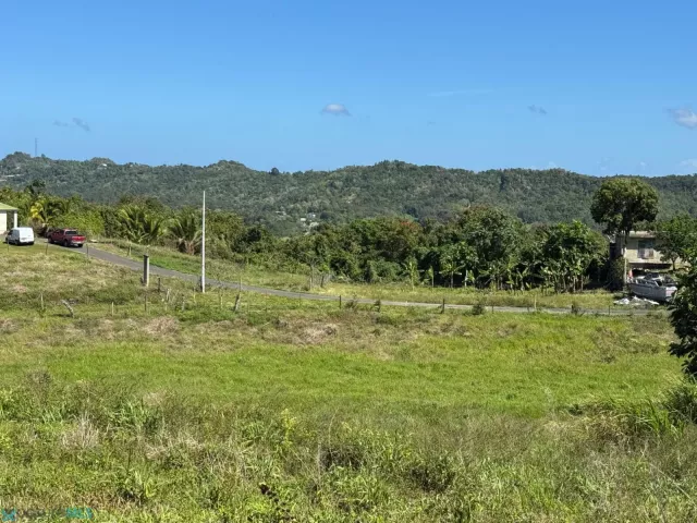 Barrio Cibao venta en San Sebastian, PR