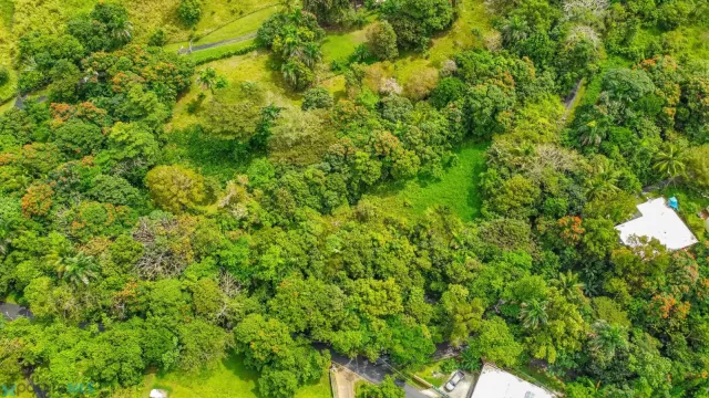 Barrio Lomas venta en Canovanas, PR