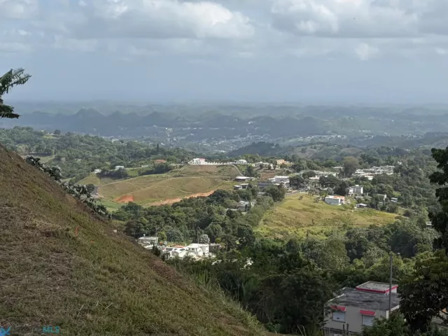 Barrio Quebradillas venta en Barranquitas, PR