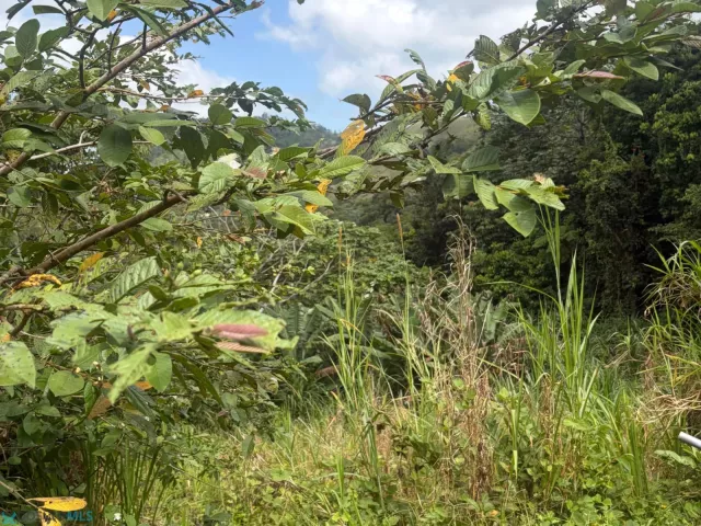Barrio Quebradillas venta en Barranquitas, PR