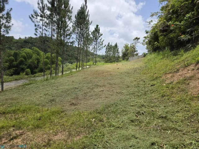 Barrio Ceiba venta en Cidra, PR