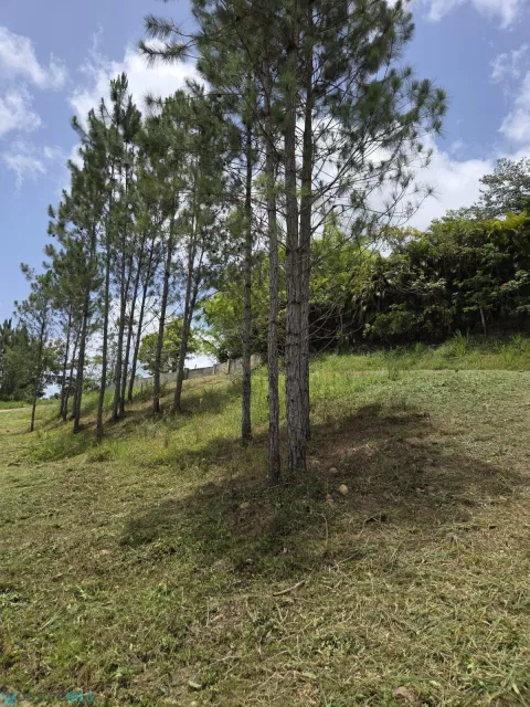 Barrio Ceiba venta en Cidra, PR
