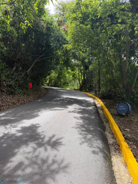 Barrio Florencio venta en Fajardo, PR