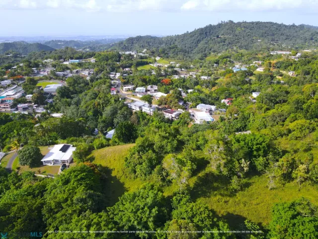 Barrio Barrio Nuevo venta en Bayamon, PR