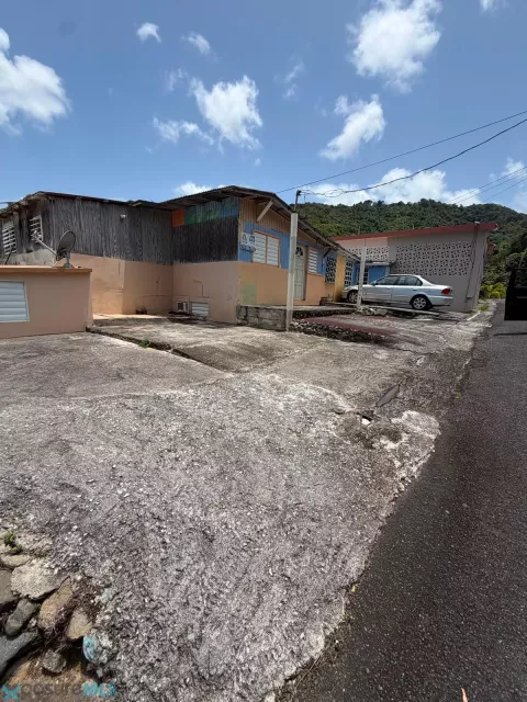 Barrio Mamey venta en Patillas, PR