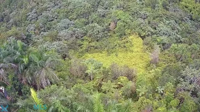 Urb. Estancias De La Sierra venta en Aguas Buenas, PR