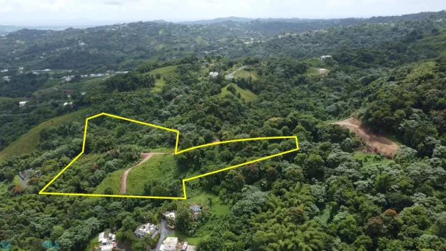 Barrio Valenciano Arriba venta en Juncos, PR