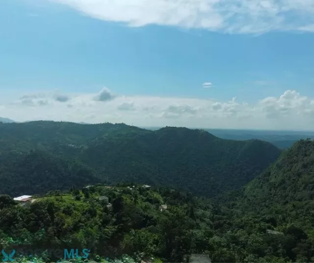Barrio Magueyes venta en Corozal, PR